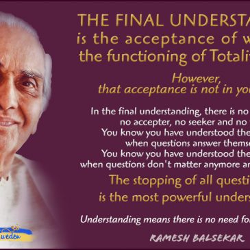 The Final Understanding…